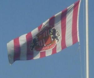 yapboz AFC Sunderland Bayrağı